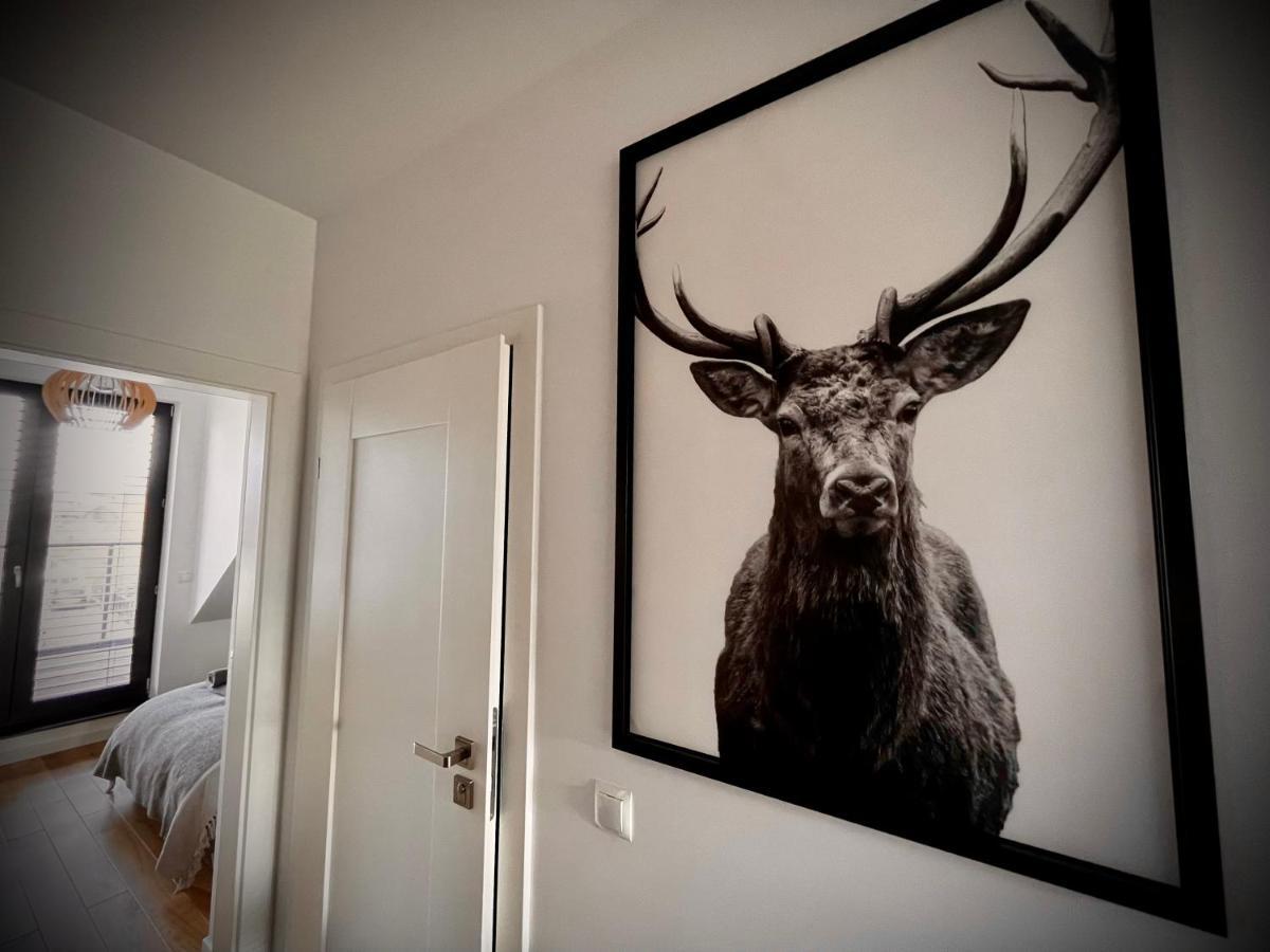Lazy Deer - Apartamenty Jelenia Góra Exteriör bild